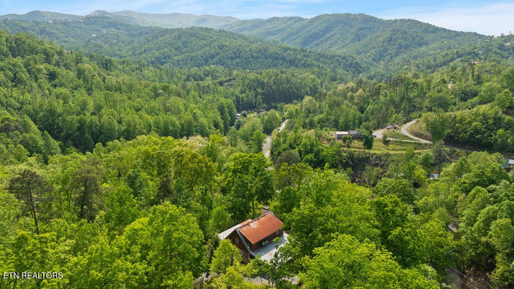 302 Beech Branch Road Gatlinburg, TN 37738 - Photo 40 of 40