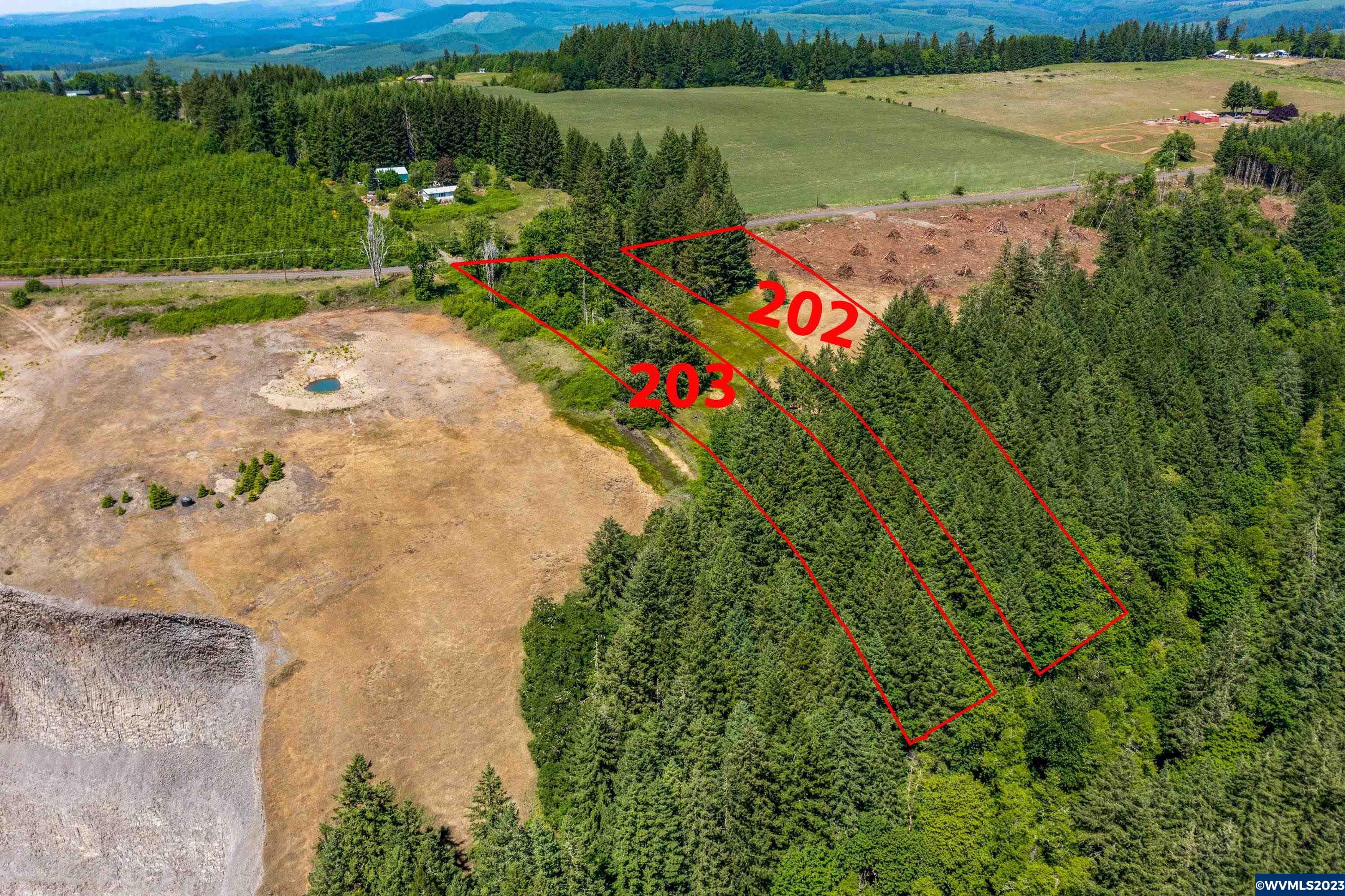 Marks Ridge Sweet Home, OR 97386 - Photo 4 of 32
