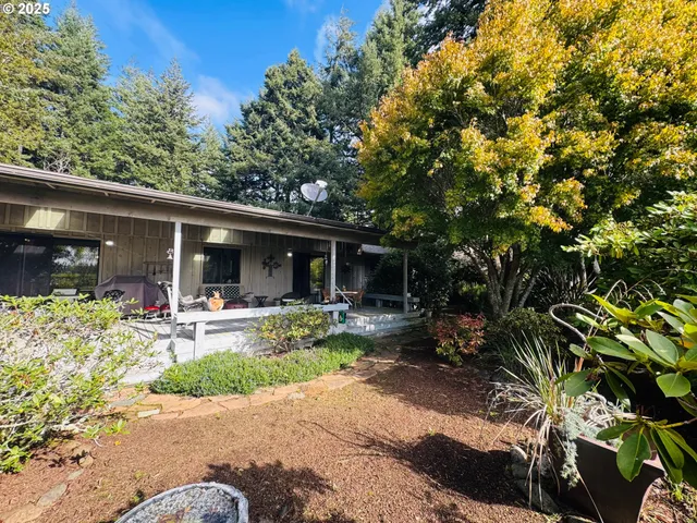 a view of a garden with large trees