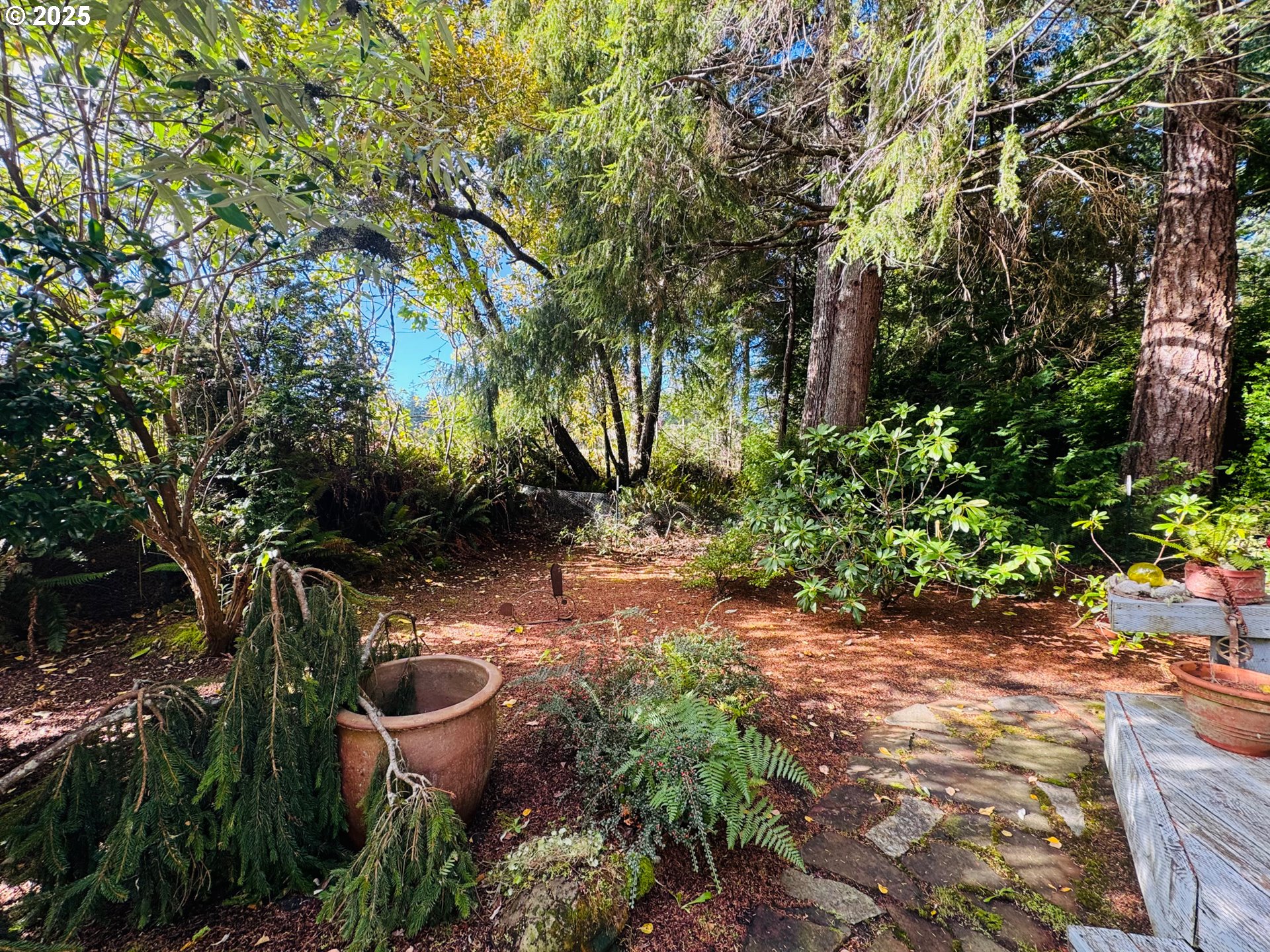 88468 Trout Pond Lane Southwest Bandon, OR 97411 - Photo 35 of 44 a view of an outdoor space and a yard