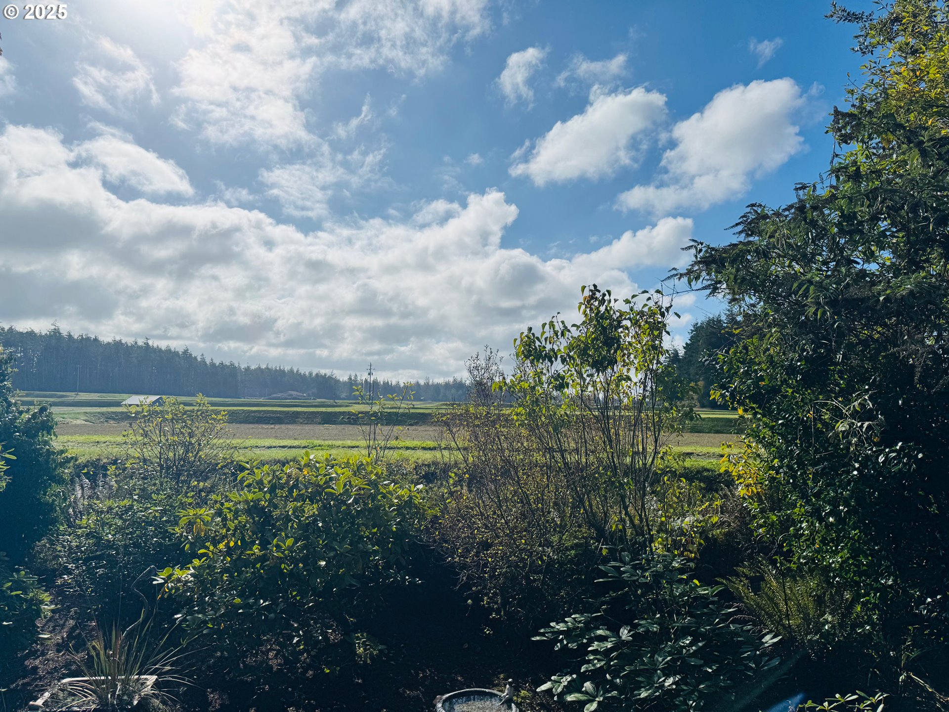 88468 Trout Pond Lane Southwest Bandon, OR 97411 - Photo 38 of 44 a view of a lake with houses in back