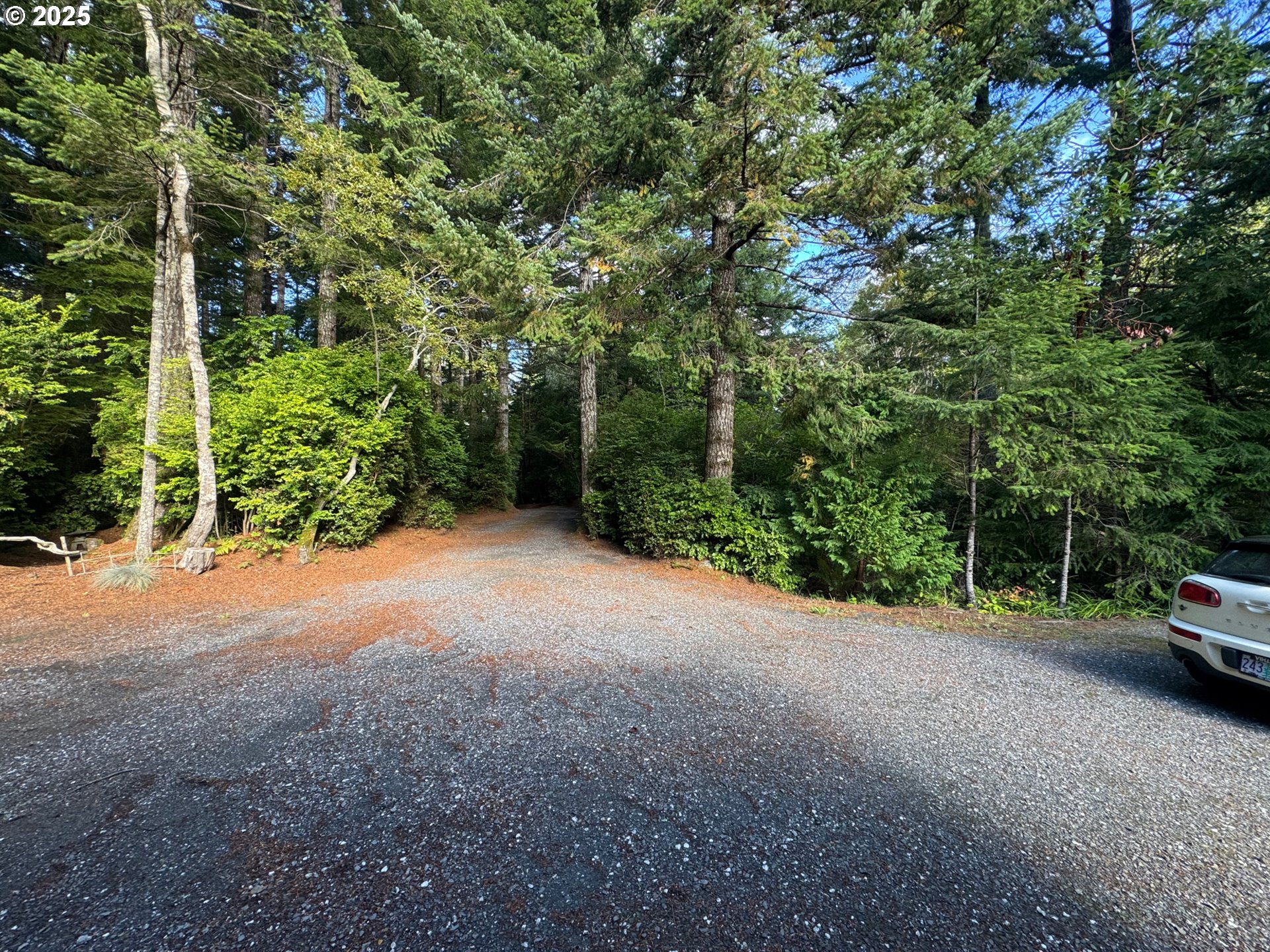 88468 Trout Pond Lane Southwest Bandon, OR 97411 - Photo 44 of 44 a view of a field with trees in the background