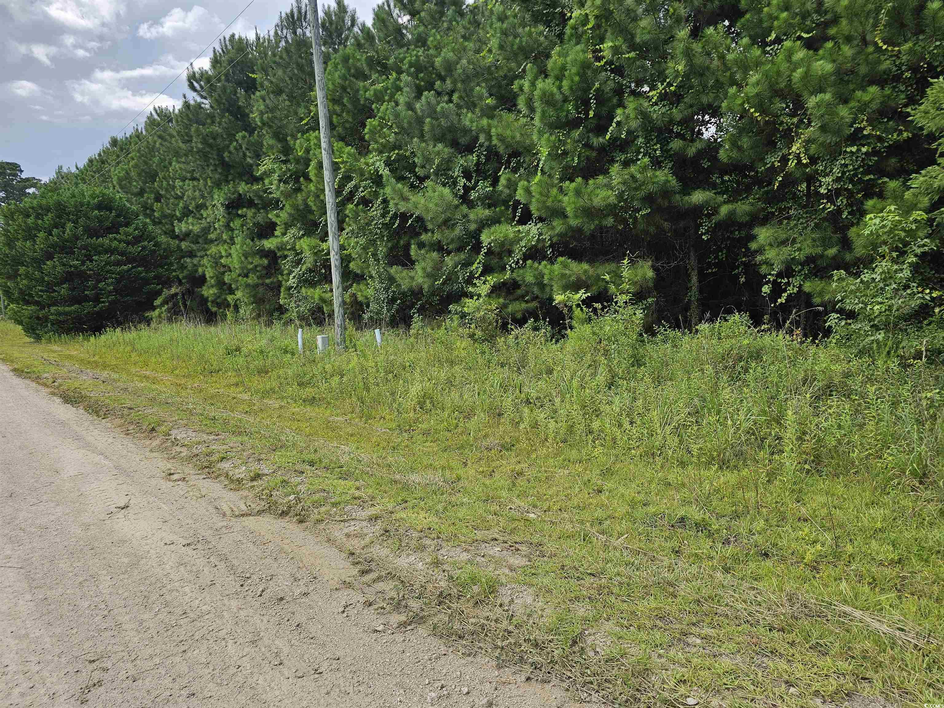 9-10 Powell Lane Loris, SC 29569 - Photo 2 of 14