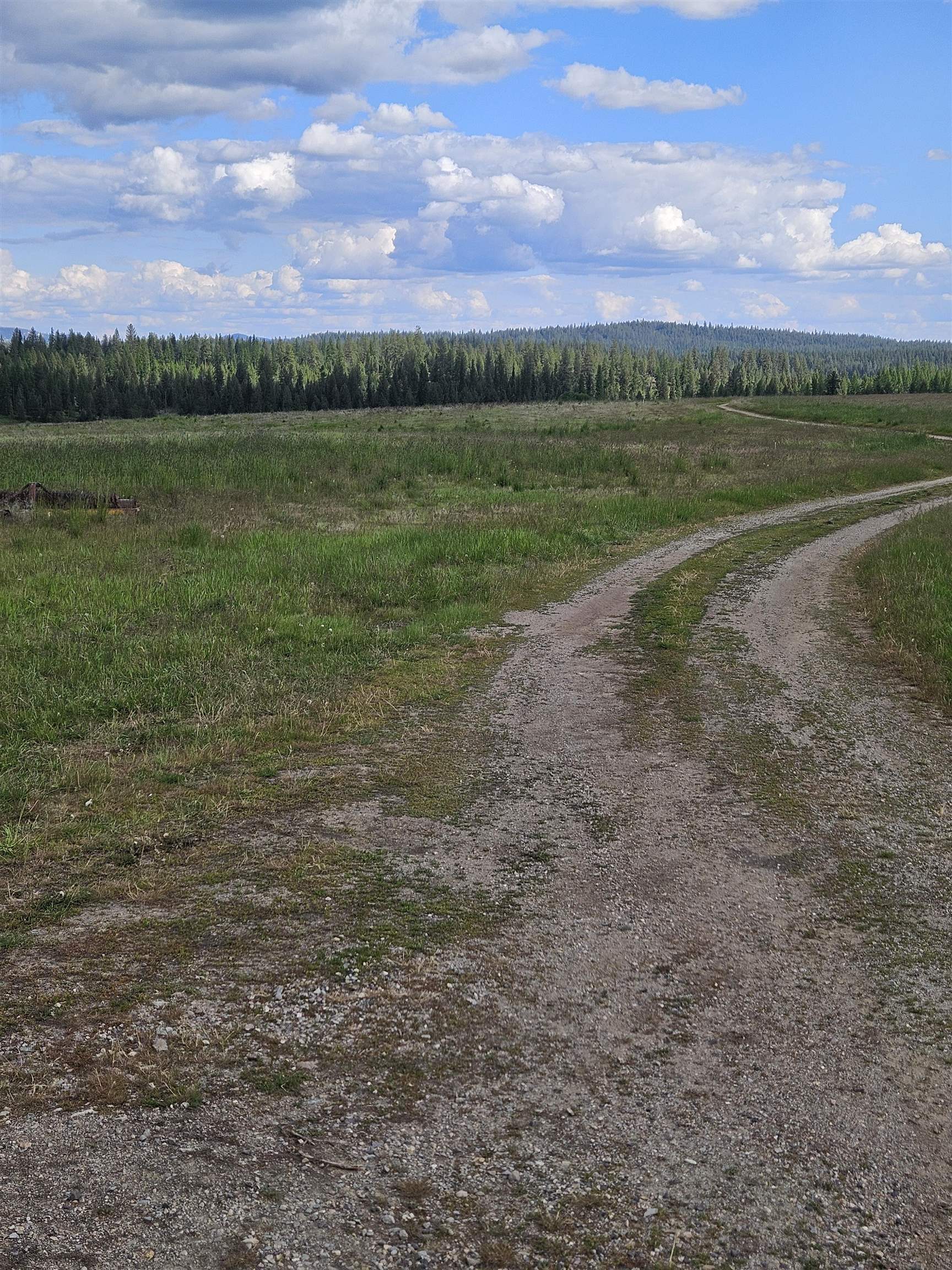 52-xx Wagner Road Springdale, WA 99173 - Photo 11 of 18