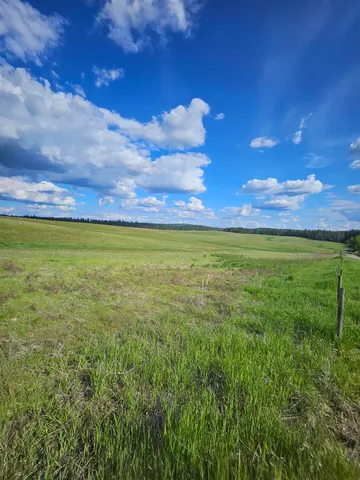 $199,999 | 52-xx Wagner Road, Springdale, WA 99173