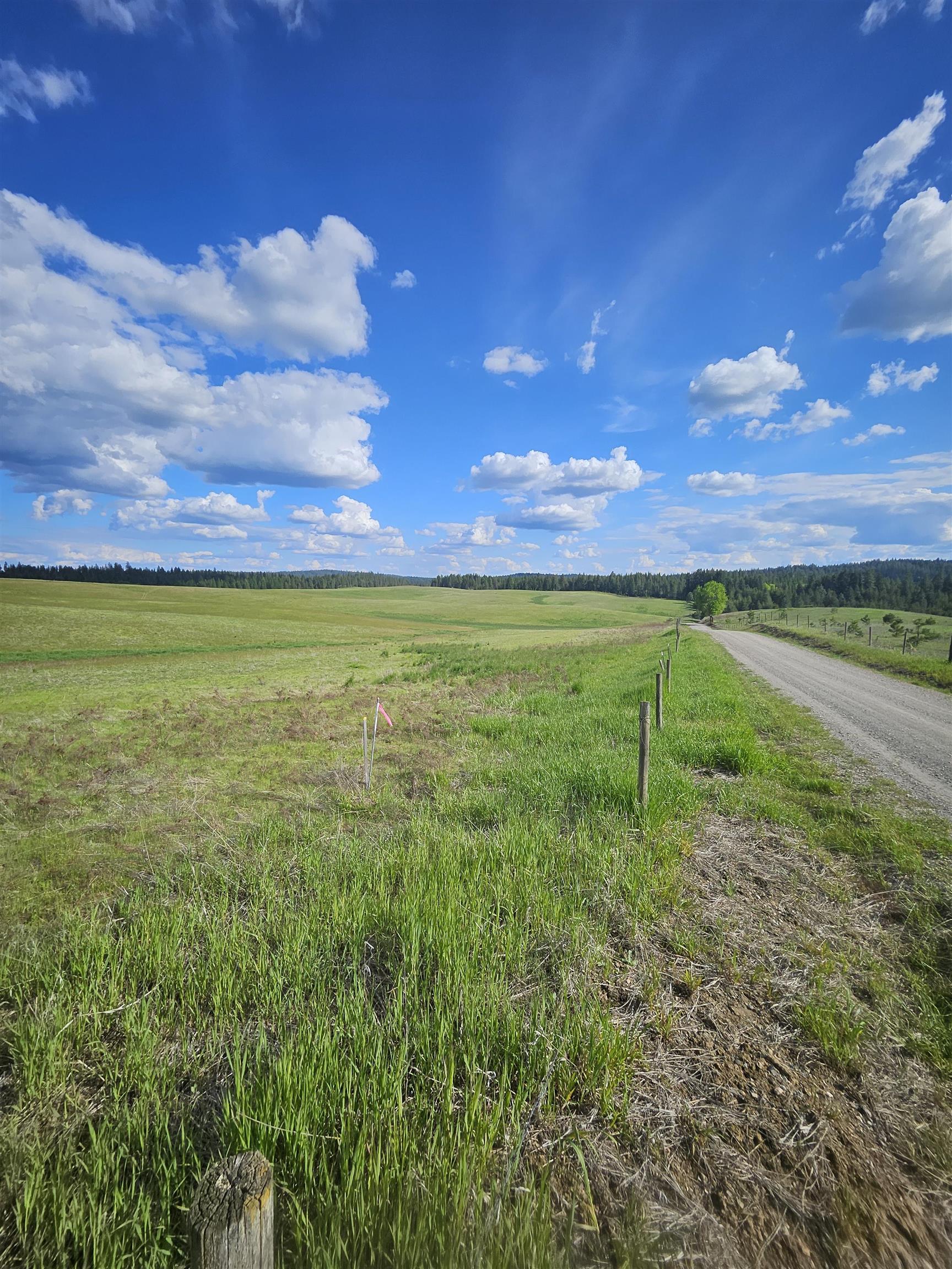 52-xx Wagner Road Springdale, WA 99173 - Photo 15 of 18