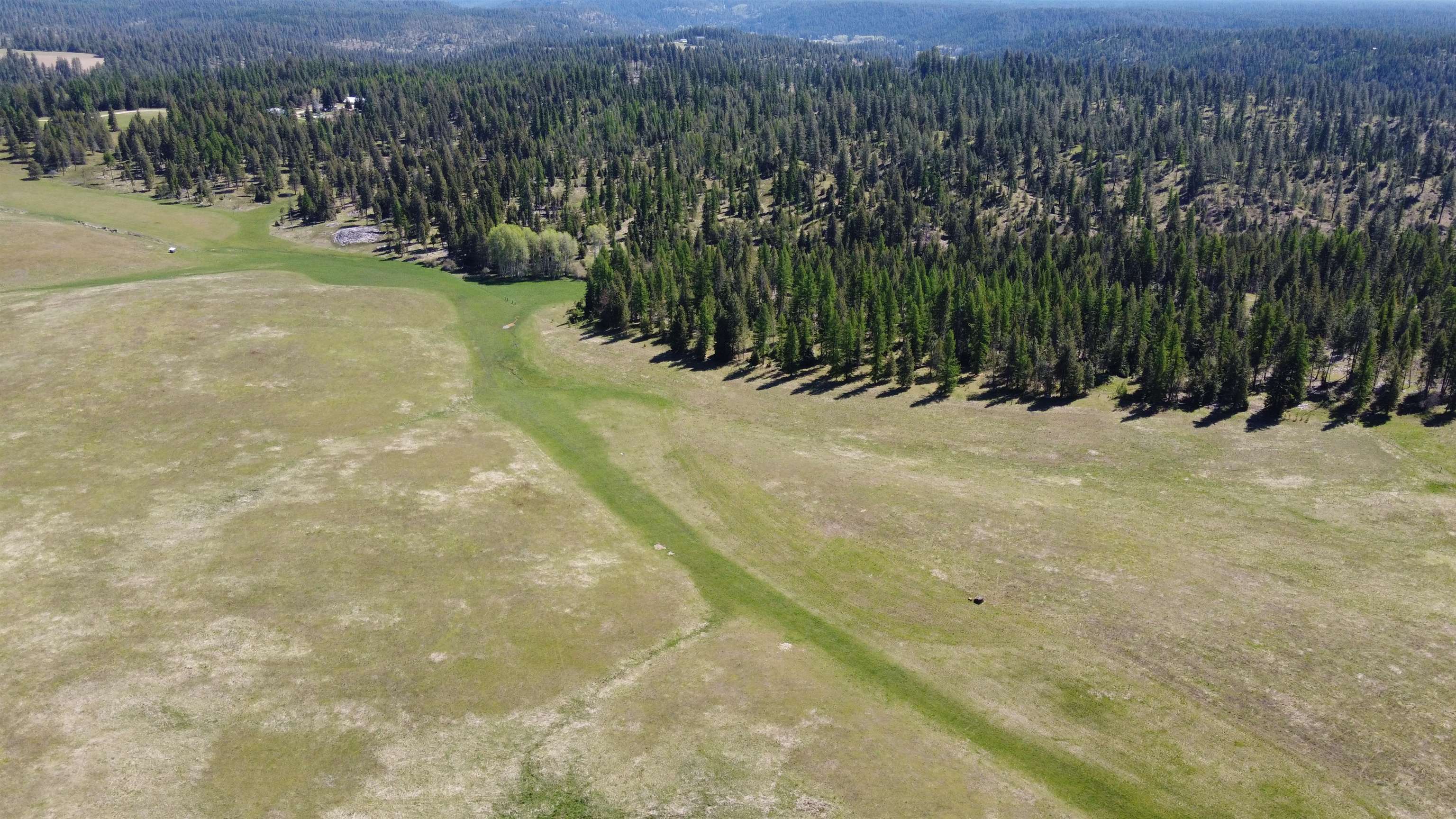 52-xx Wagner Road Springdale, WA 99173 - Photo 2 of 18