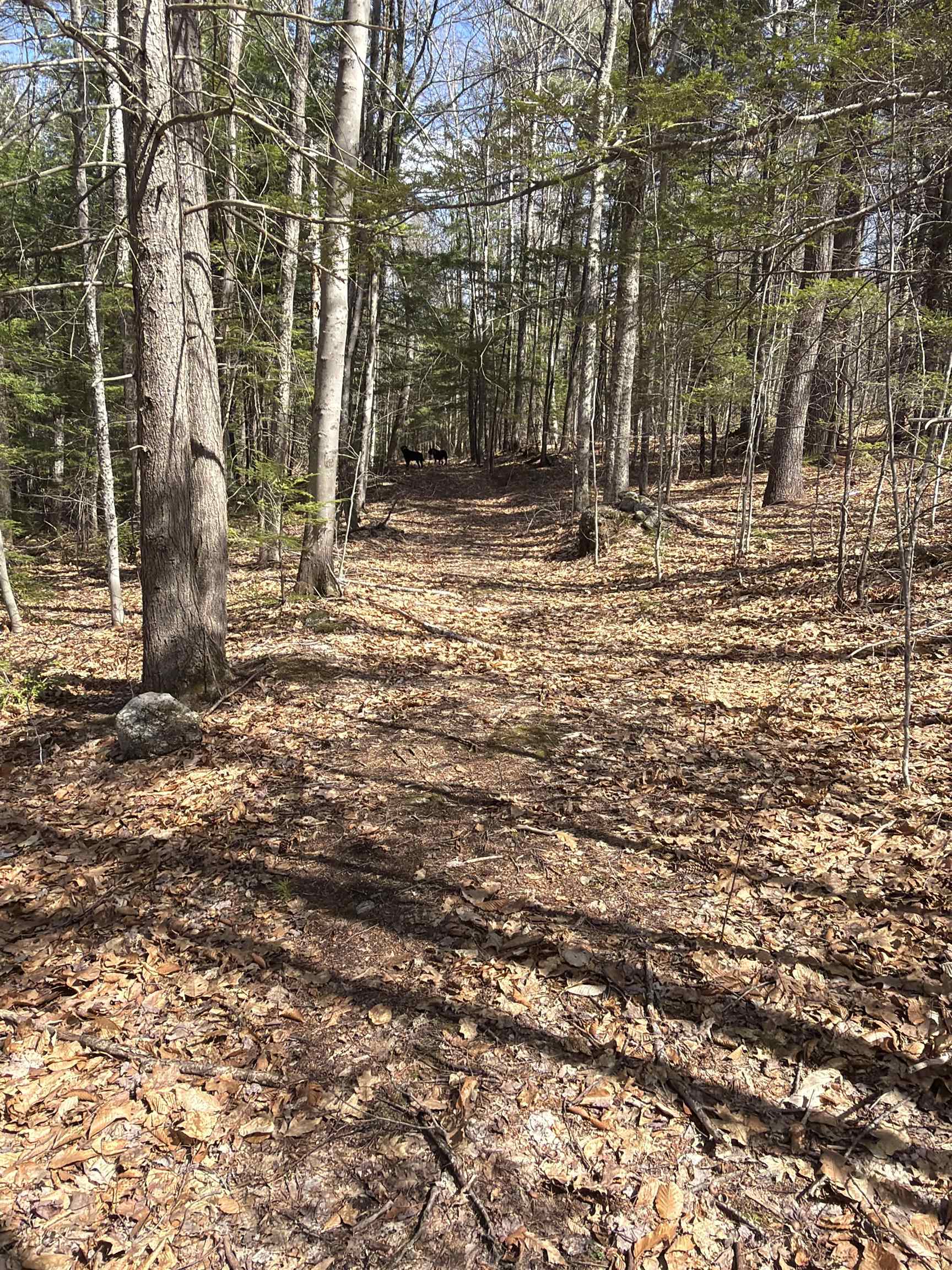 R29-l9 Roxbury Road, Unit LOT 9 Meredith, NH 03253 - Photo 18 of 36