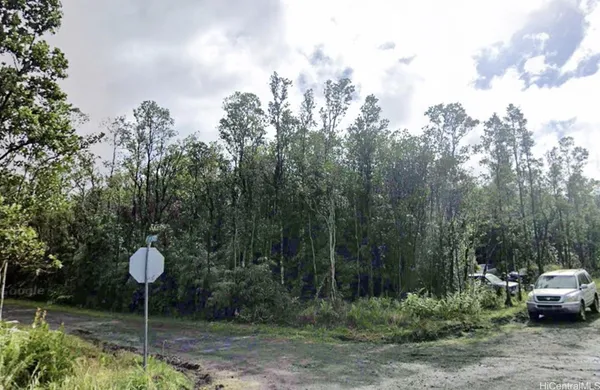 a view of a back yard