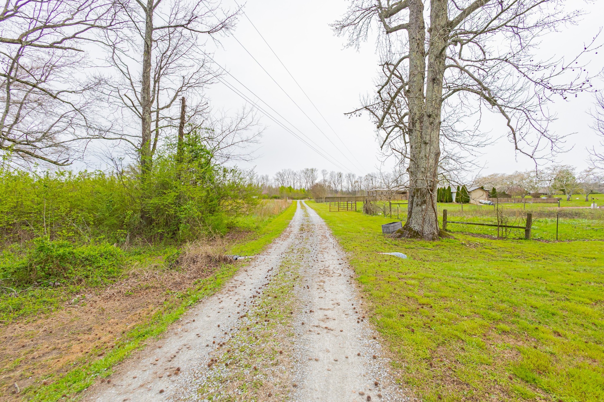 173 Bellview Road Taft, TN 38488 - Photo 11 of 89