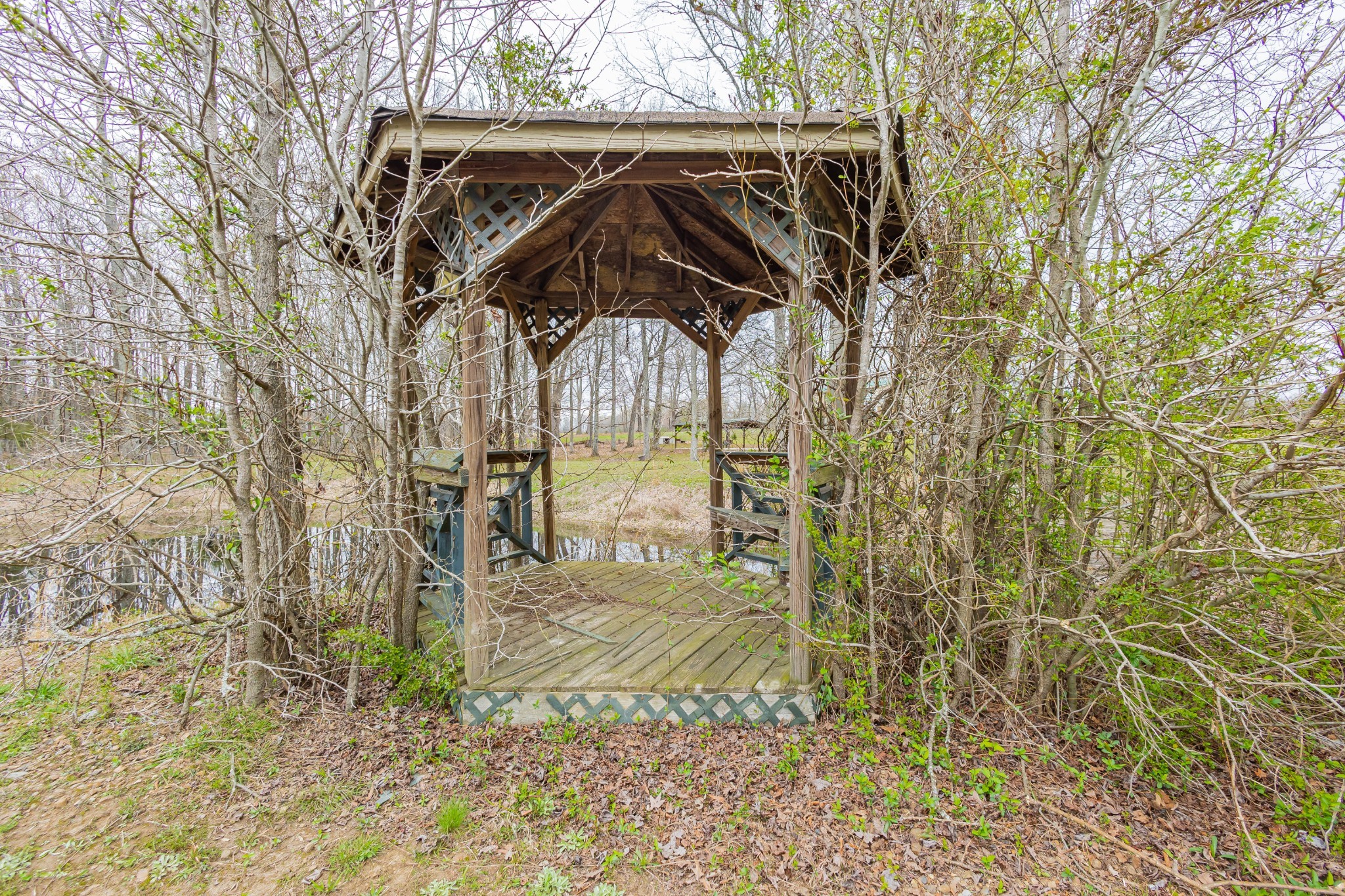 173 Bellview Road Taft, TN 38488 - Photo 13 of 89