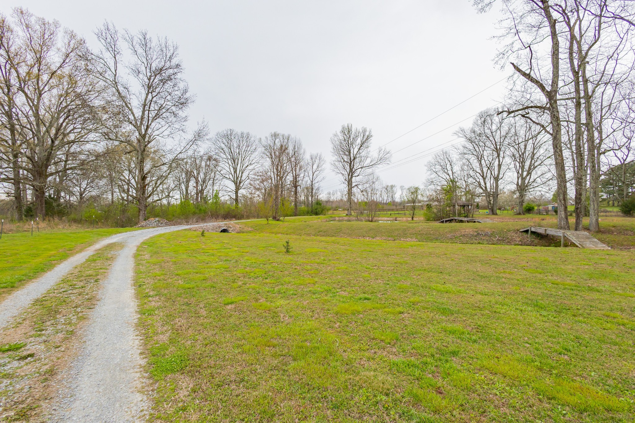 173 Bellview Road Taft, TN 38488 - Photo 3 of 89