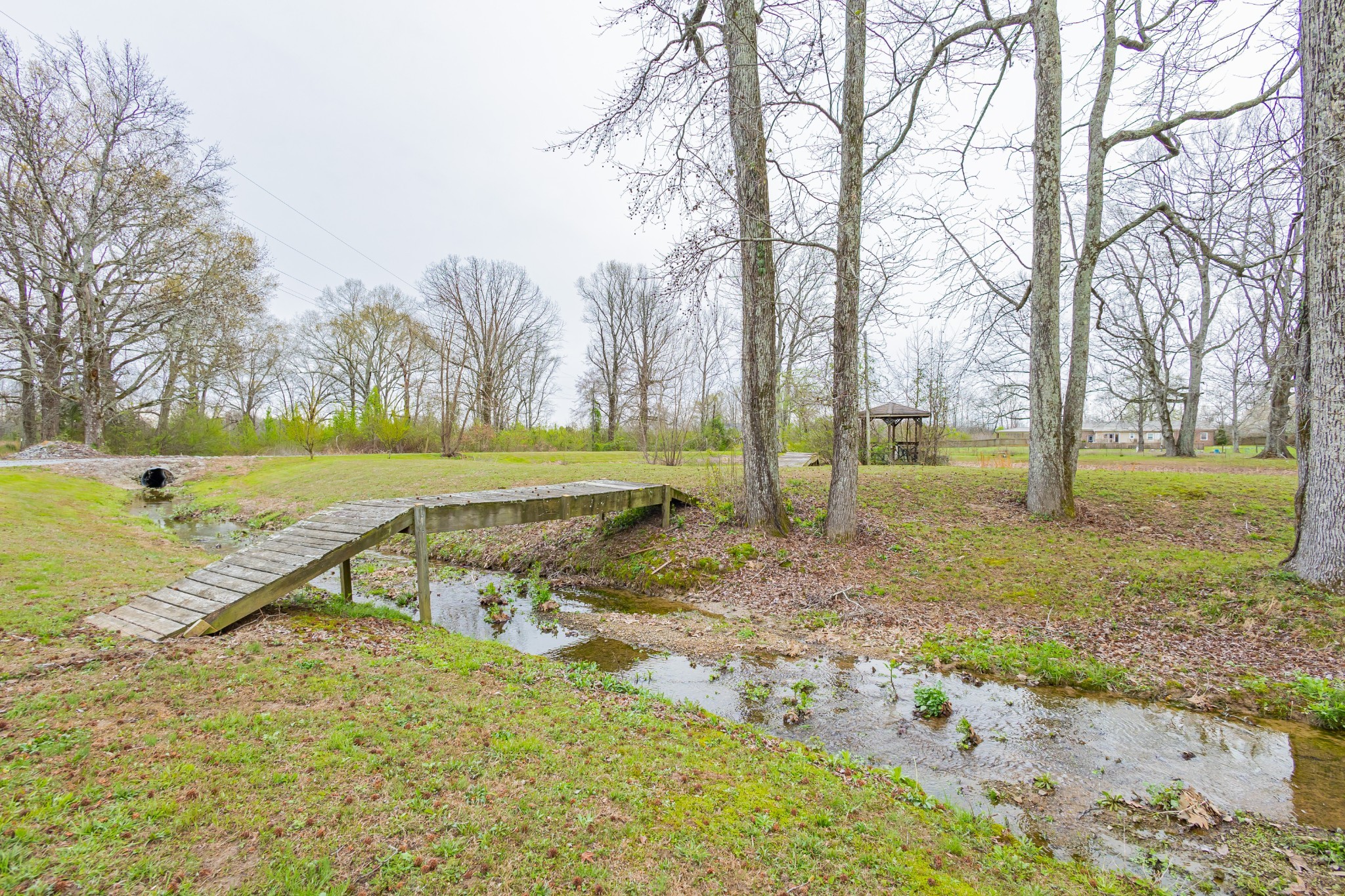 173 Bellview Road Taft, TN 38488 - Photo 9 of 89