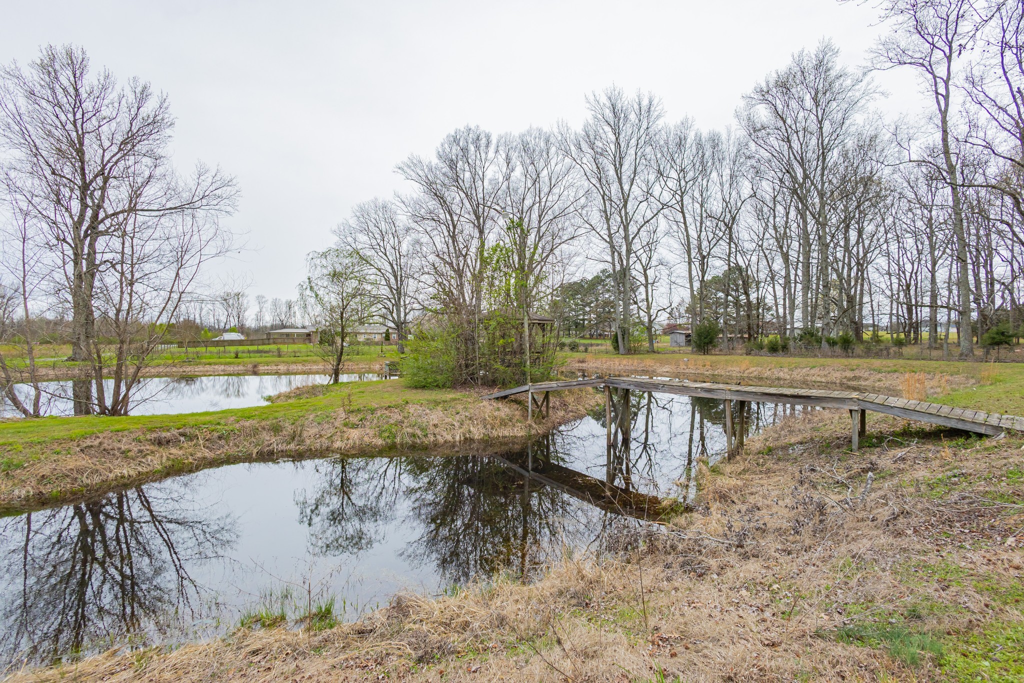 173 Bellview Road Taft, TN 38488 - Photo 10 of 89