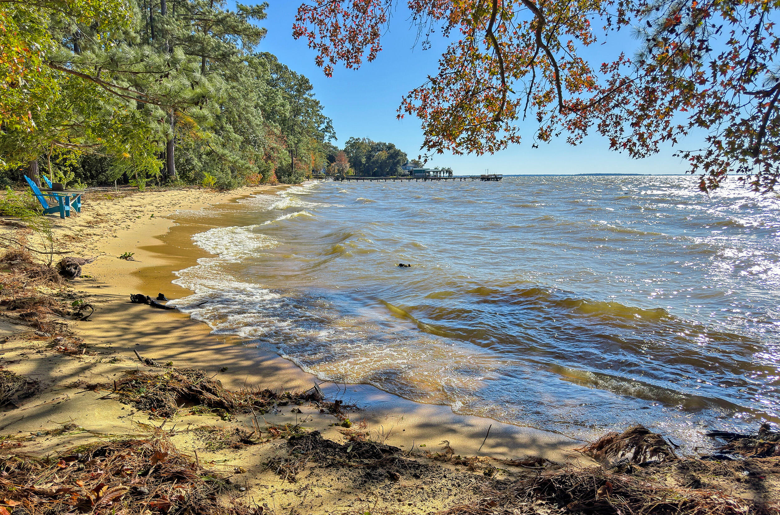 707 Butter Road Bonneau, SC 29431 - Photo 44 of 53 IMG_2728