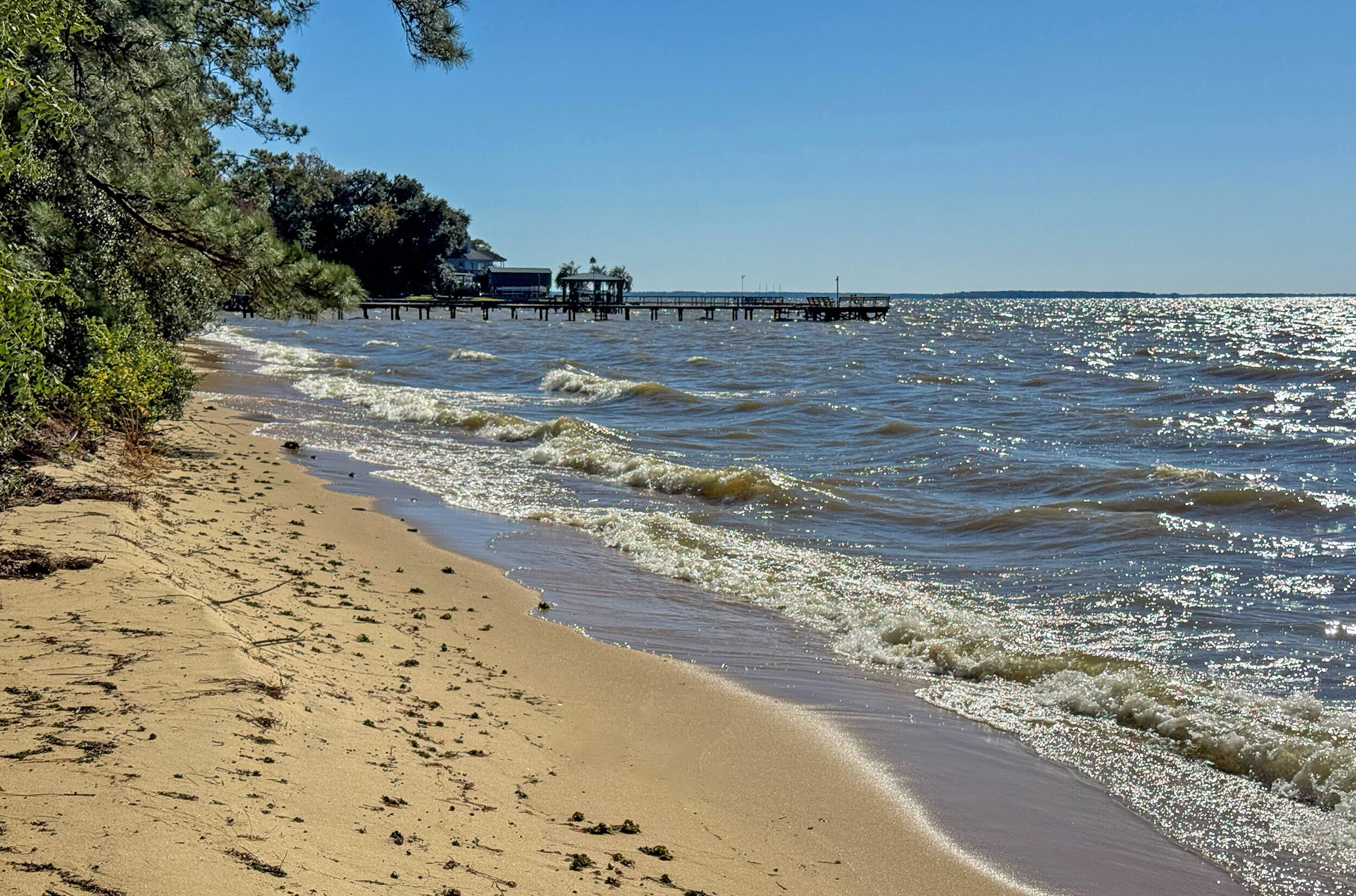707 Butter Road Bonneau, SC 29431 - Photo 45 of 53 IMG_2732