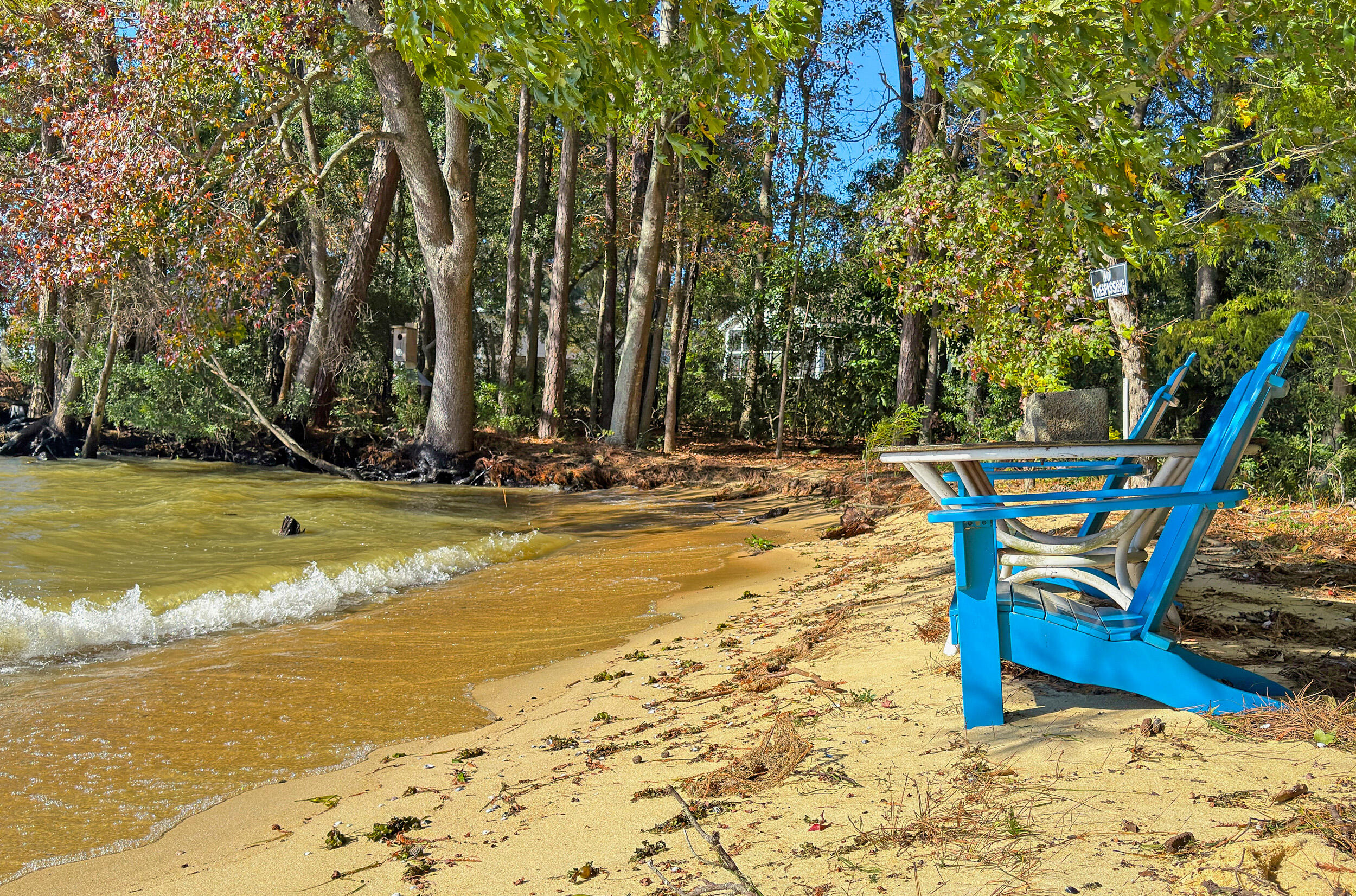 707 Butter Road Bonneau, SC 29431 - Photo 47 of 53 IMG_2736