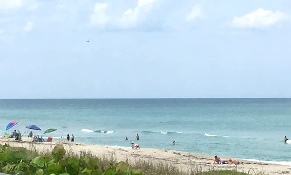 $2,500 | 2929 Southeast Ocean Boulevard, Unit 117, Stuart, FL 34996