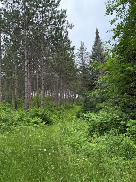 20-acres North 5th Avenue Spooner, WI 54801 - Photo 9 of 12