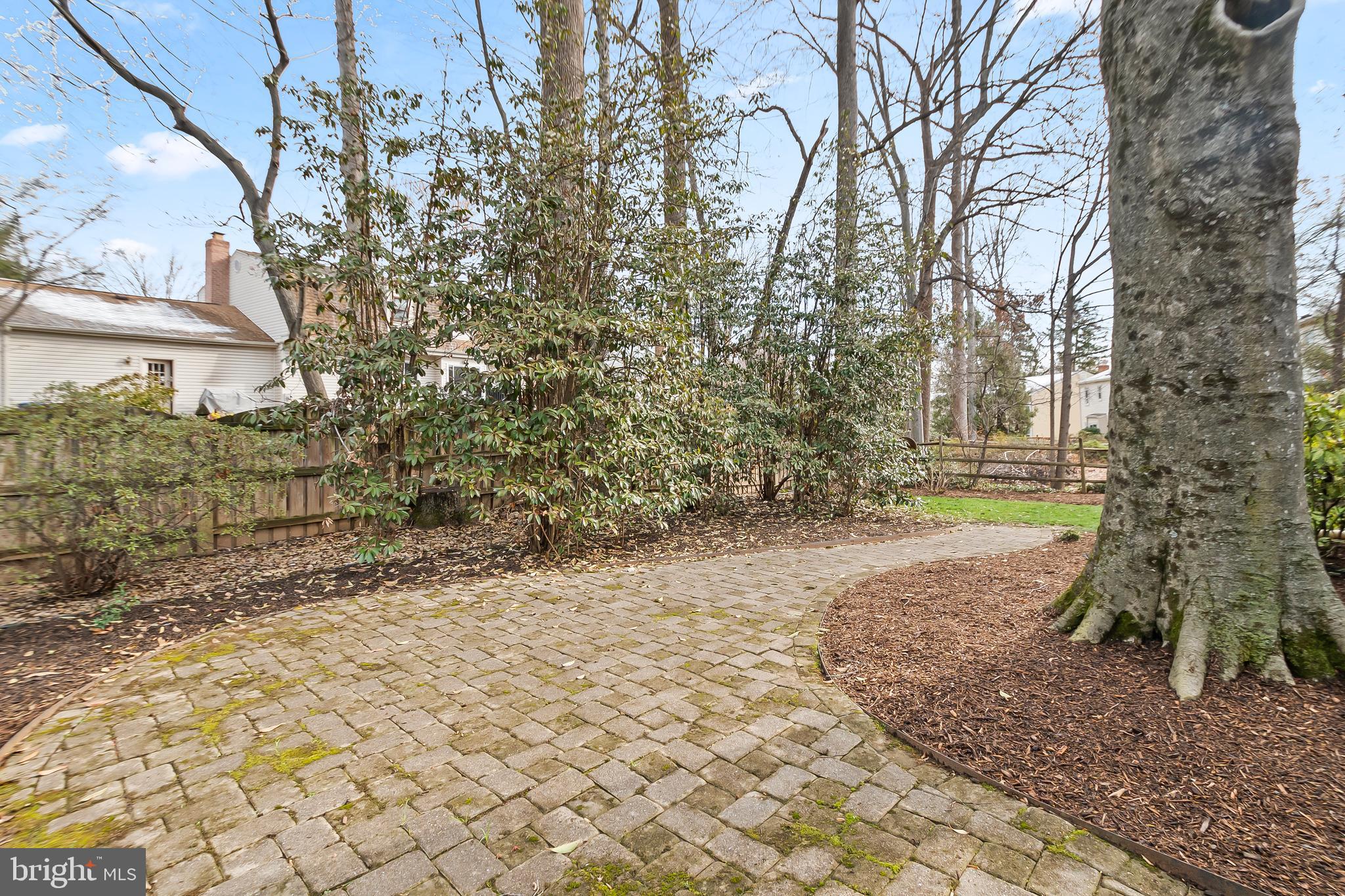 8816 Arley Drive Springfield, VA 22153 - Photo 51 of 59 a view of a yard with plants and trees