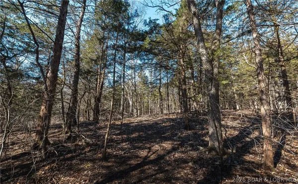 $135,000 | Tbd 27-ac Whippoorwill Lane, Sunrise Beach, MO 65079