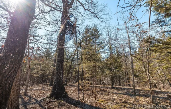 $135,000 | Tbd 27-ac Whippoorwill Lane, Sunrise Beach, MO 65079