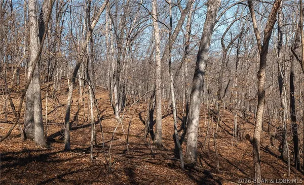 $135,000 | Tbd 27-ac Whippoorwill Lane, Sunrise Beach, MO 65079