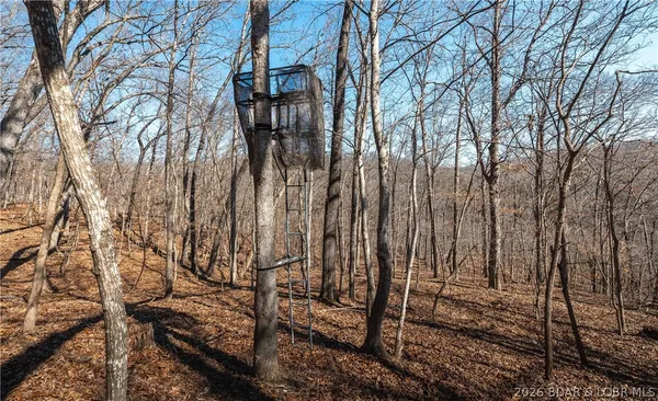 $135,000 | Tbd 27-ac Whippoorwill Lane, Sunrise Beach, MO 65079