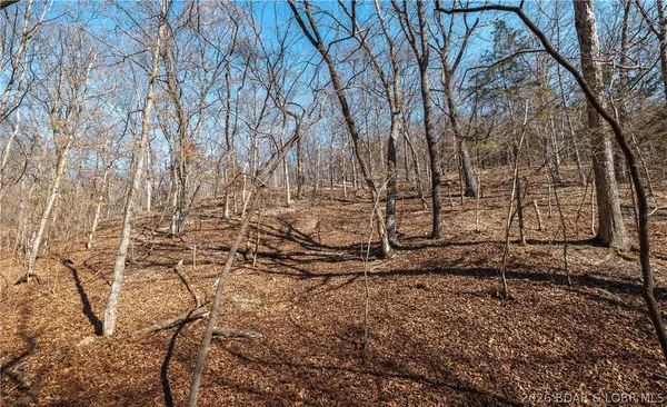 $135,000 | Tbd 27-ac Whippoorwill Lane, Sunrise Beach, MO 65079