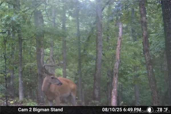 $135,000 | Tbd 27-ac Whippoorwill Lane, Sunrise Beach, MO 65079