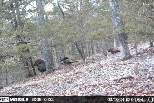 $135,000 | Tbd 27-ac Whippoorwill Lane, Sunrise Beach, MO 65079