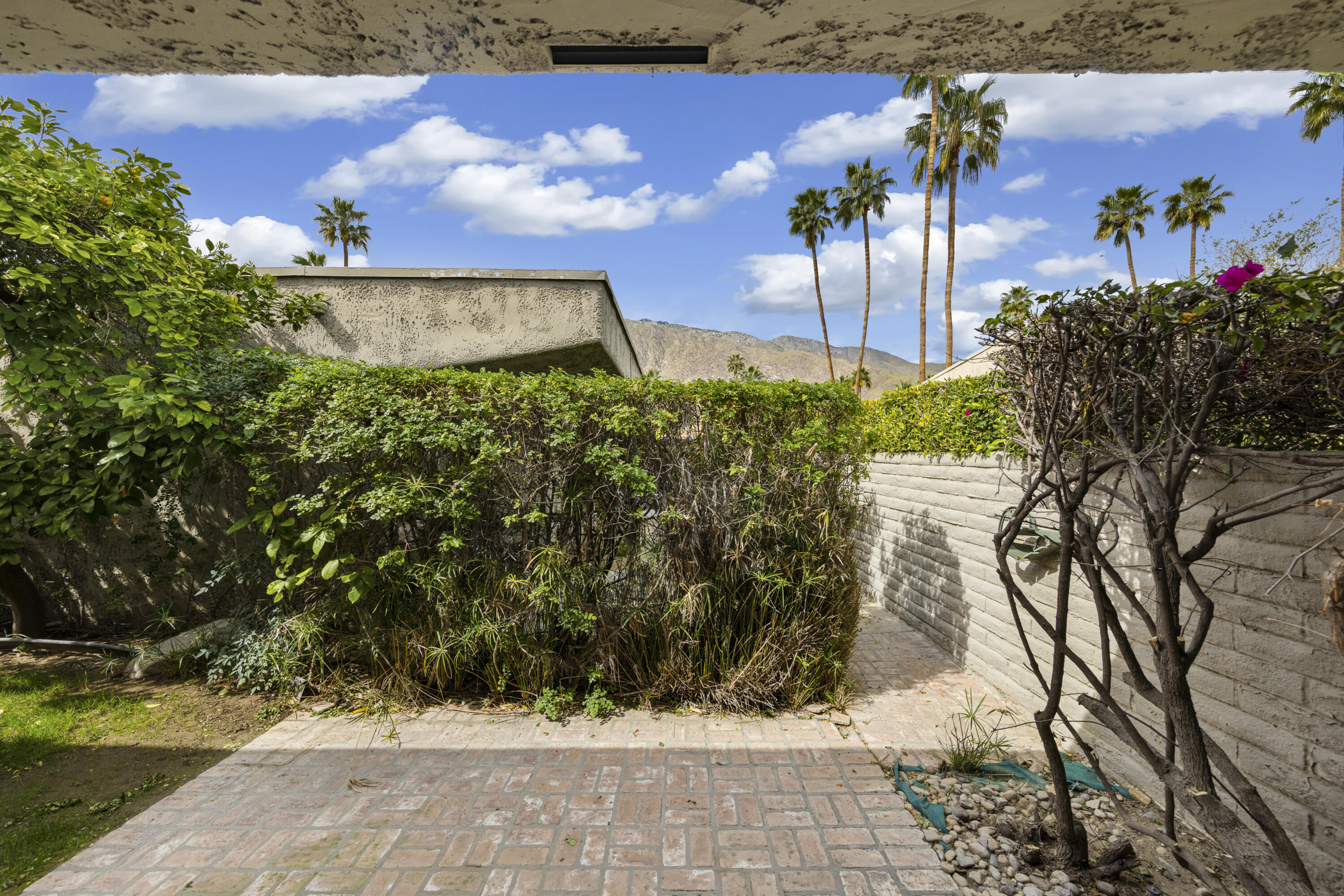 1111 Ramon Road, Unit 53 Palm Springs, CA 92264 - Photo 19 of 26 24