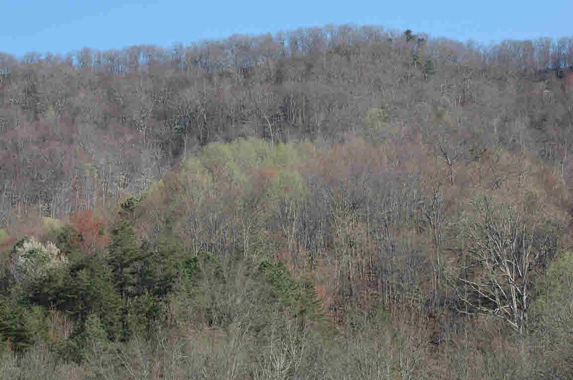 Lot J Springdale Road Pearisburg, VA 24134 - Photo 51 of 51 Gallery Image 51