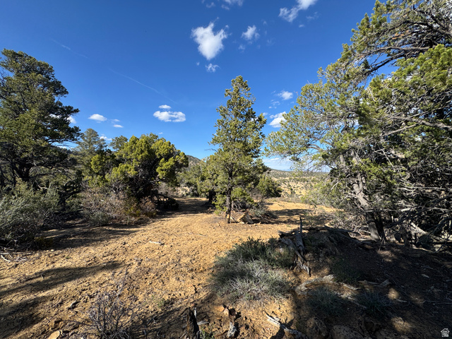 38 Broken Branch Road, Unit 38 Kanab, UT 84741 - Photo 26 of 53 Expansive natural landscape featuring a clear blue sky, distant hills, and varied evergreen foliage