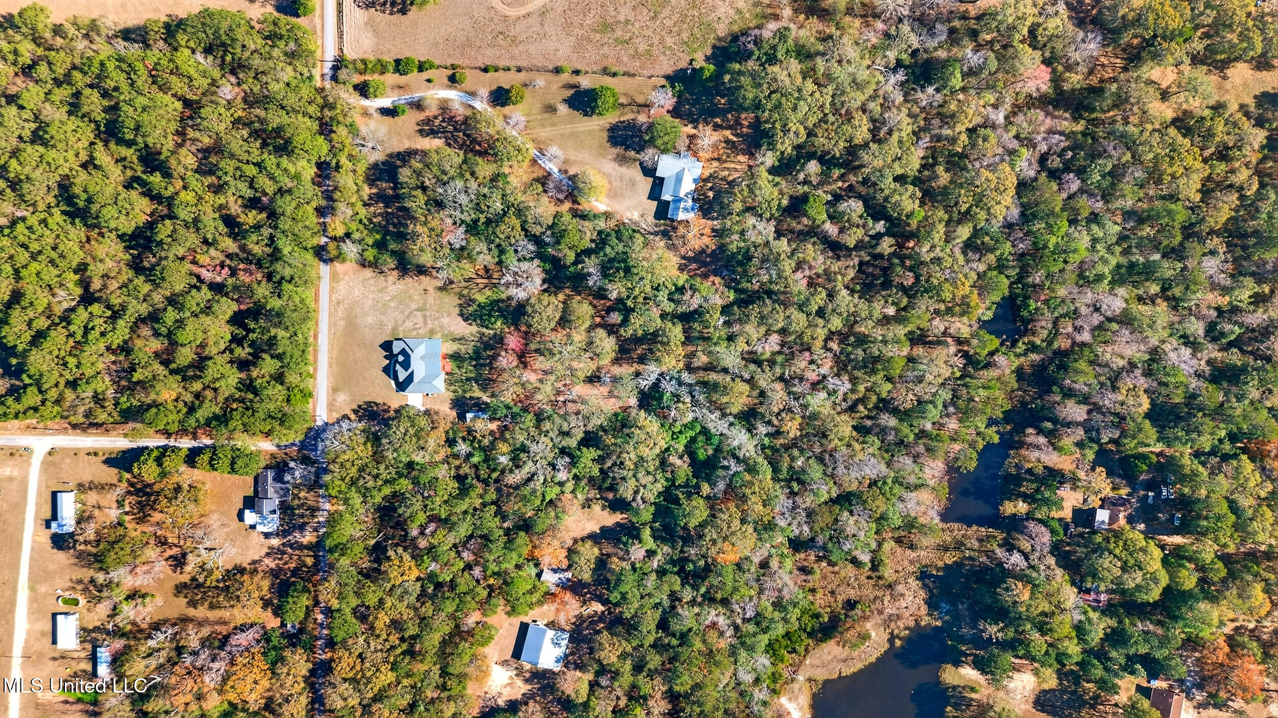 45 Weldy Road Carriere, MS 39426 - Photo 4 of 49 60_dji_20251215120950_0617_d