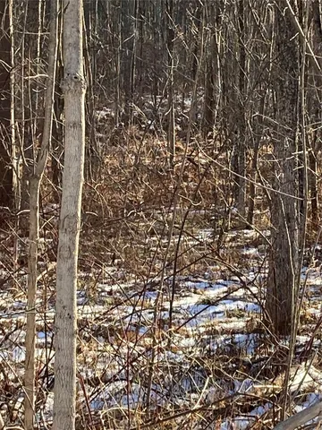 $35,000 | 2190 Highway 208, Montgomery, NY 12549