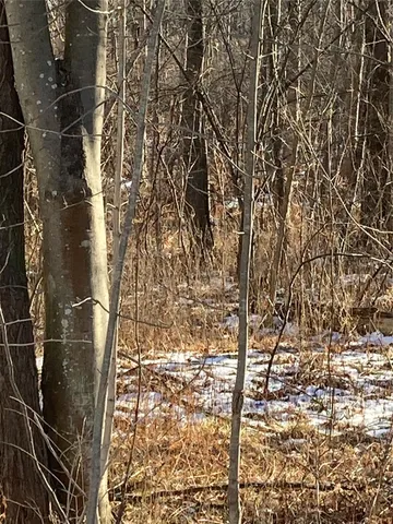 $35,000 | 2190 Highway 208, Montgomery, NY 12549