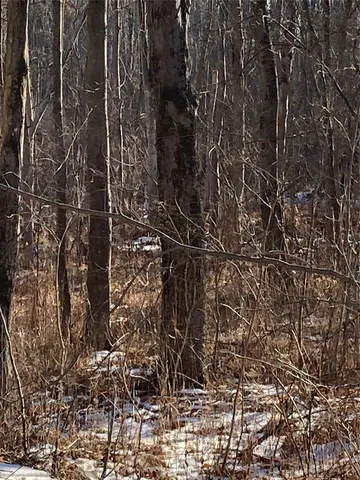 $35,000 | 2190 Highway 208, Montgomery, NY 12549