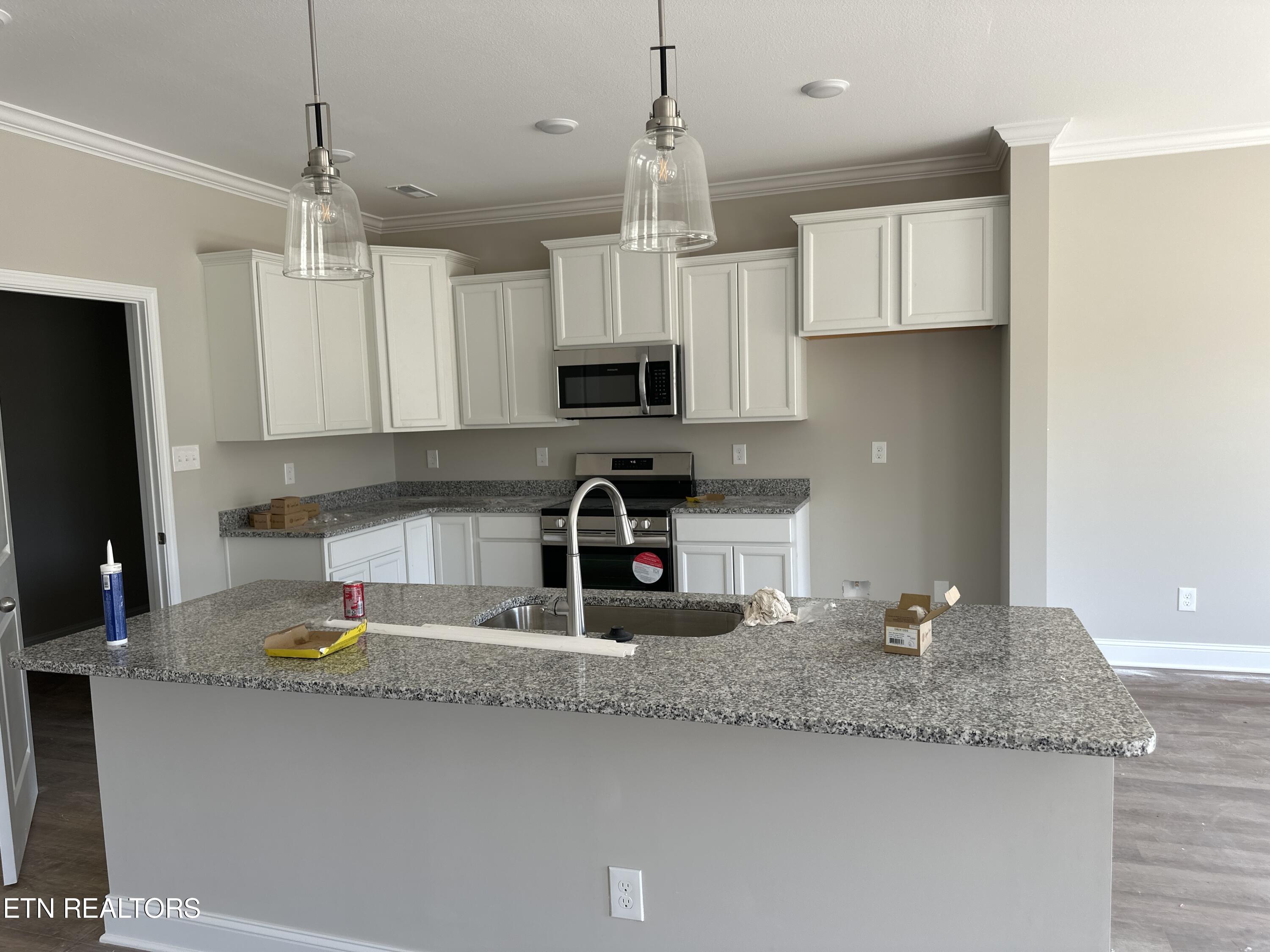 7727 Honey Oaks Road Corryton, TN 37721 - Photo 6 of 7 Kitchen