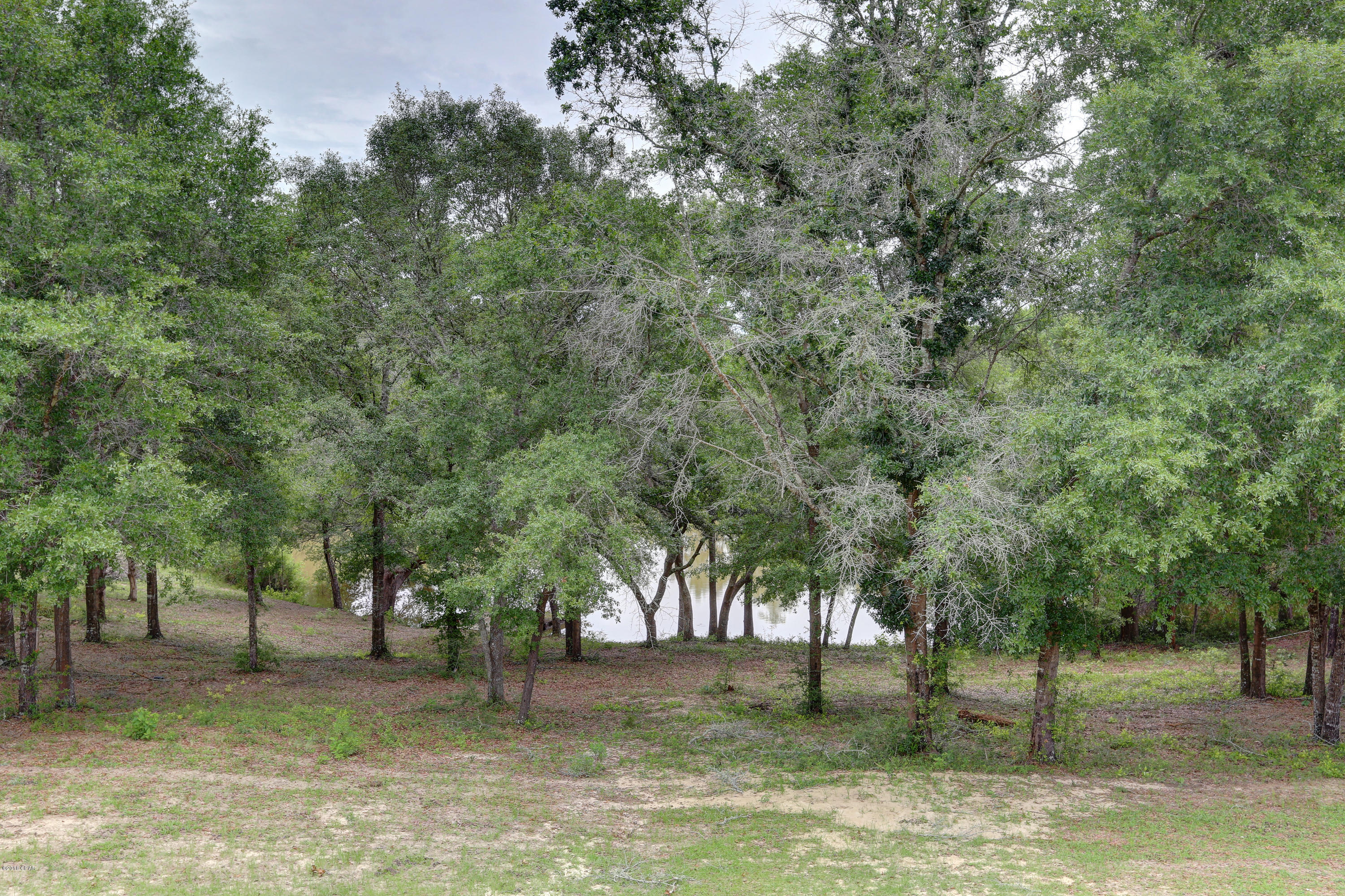 3426 Twin Pond Road Vernon, FL 32462 - Photo 6 of 22 Gallery Image 6