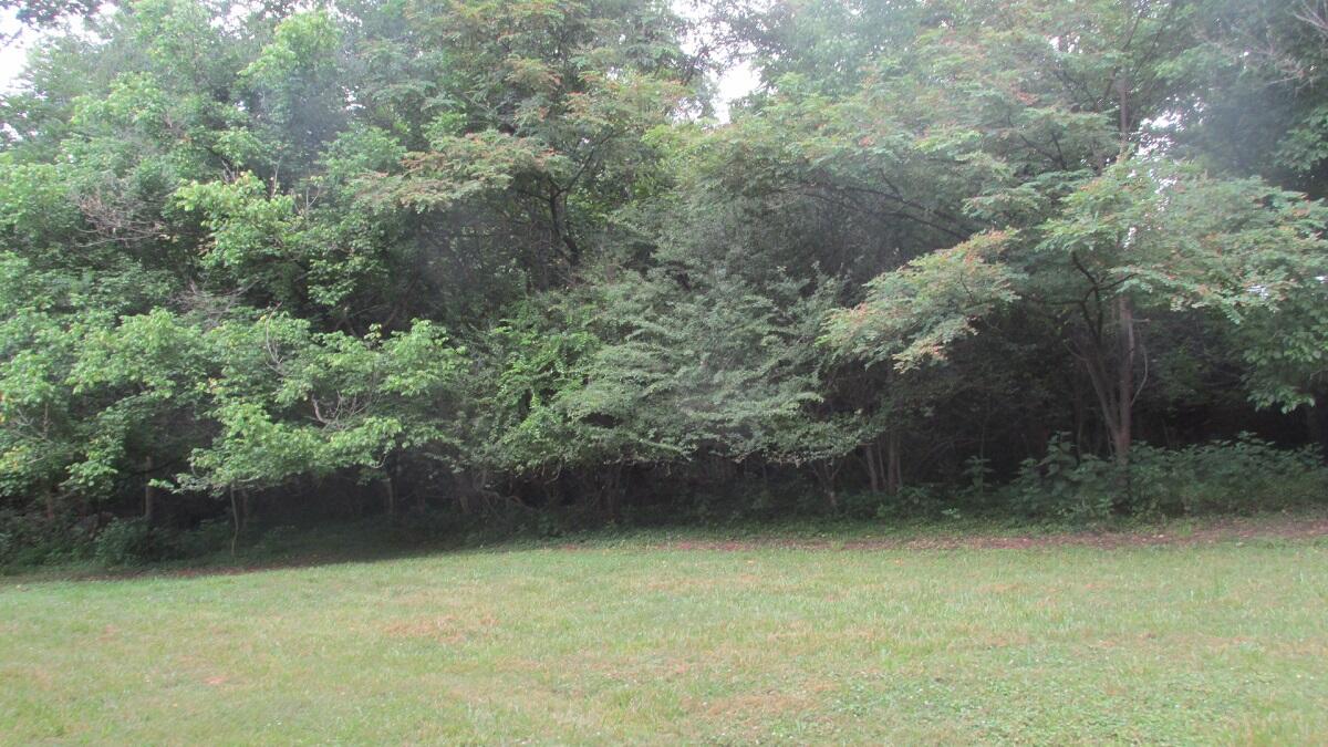 2400 Rutrough Road Southeast Roanoke, VA 24014 - Photo 8 of 21 a view of a yard