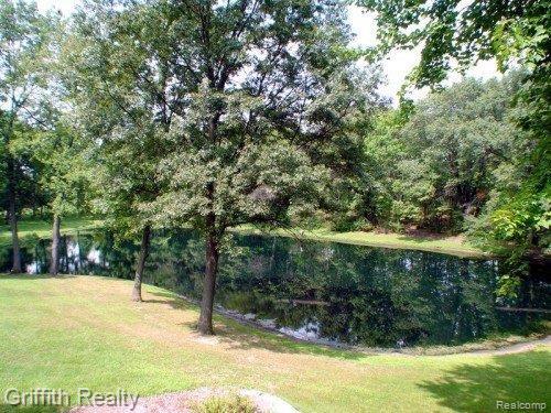 5380 Whistler Point Howell, MI 48843 - Photo 20 of 22 pond