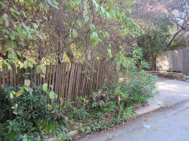 535 Spring Street Santa Cruz, CA 95060 - Photo 3 of 6 Gallery Image 3