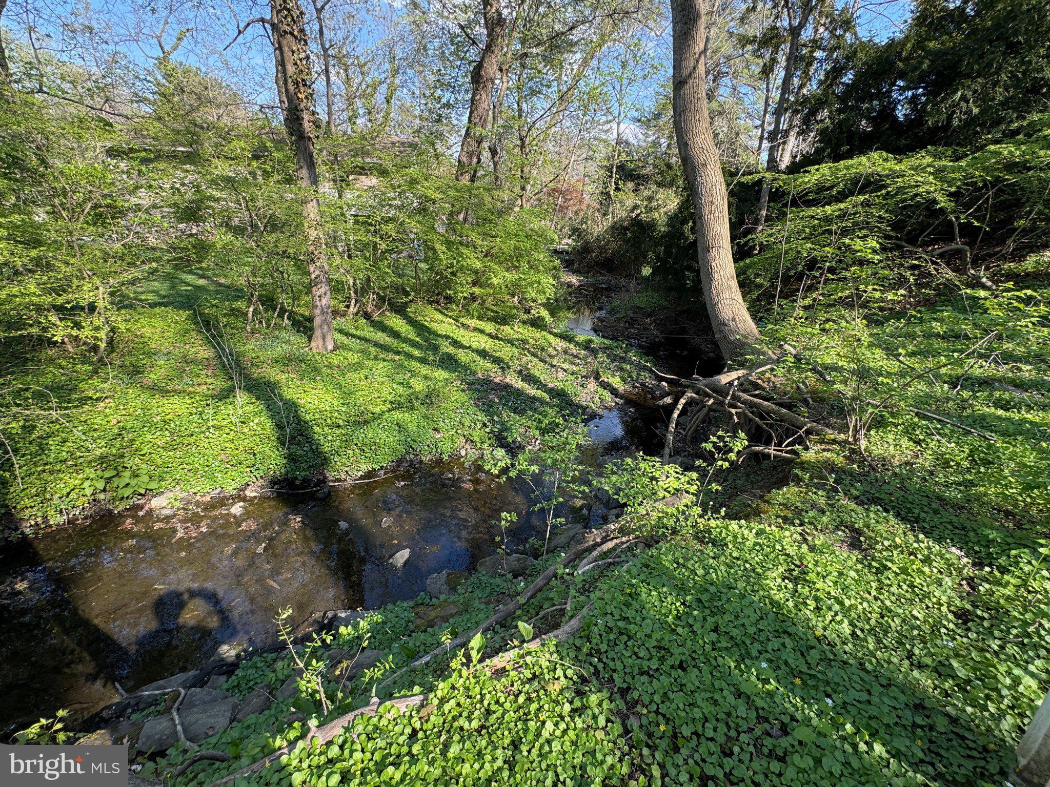 1217 Medford Road Wynnewood, PA 19096 - Photo 91 of 92 Tranquil stream in lush greenery.