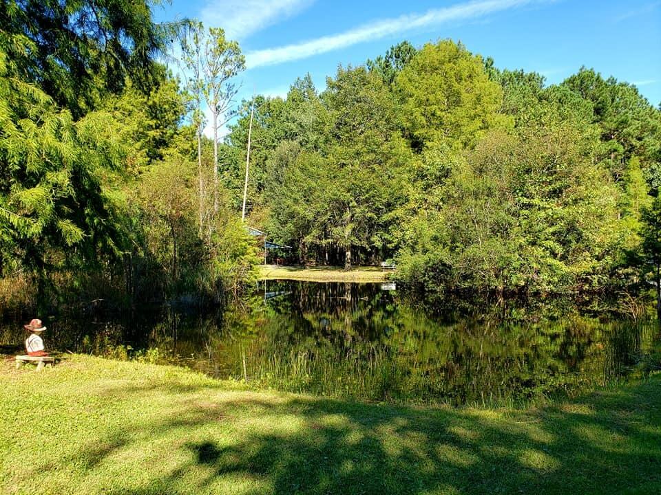 2704 Mt Carmel Road Walterboro, SC 29488 - Photo 12 of 53 242740595_10216488200592145_800102765088