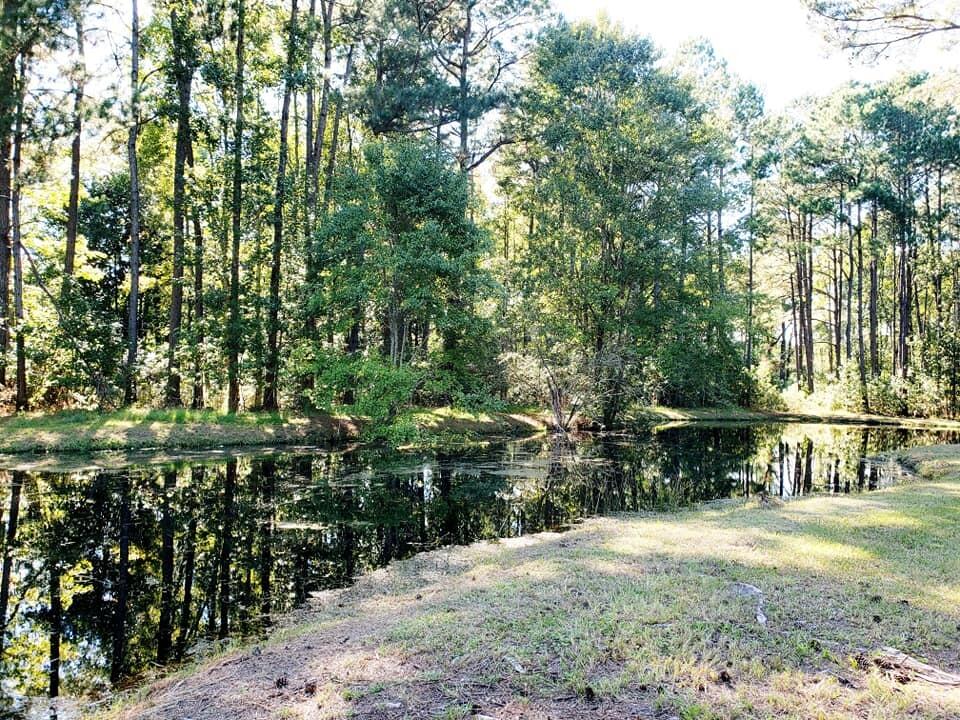 2704 Mt Carmel Road Walterboro, SC 29488 - Photo 5 of 53 242933278_10216488202072182_113794345829