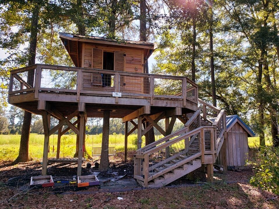 2704 Mt Carmel Road Walterboro, SC 29488 - Photo 45 of 53 242321040_10216488196472042_624453368200