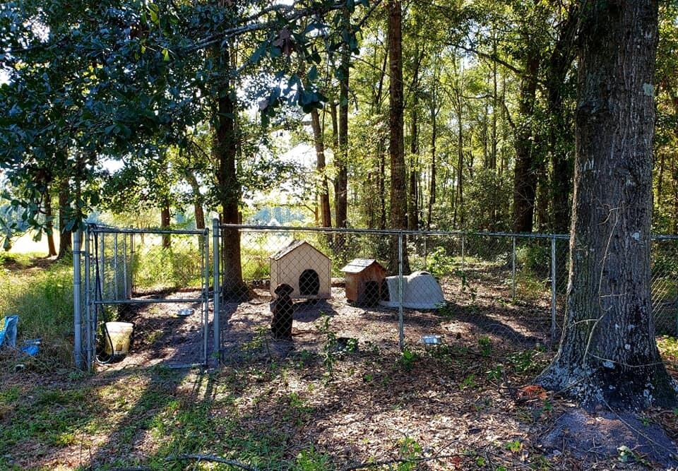 2704 Mt Carmel Road Walterboro, SC 29488 - Photo 46 of 53 242601616_10216488195472017_664956007788