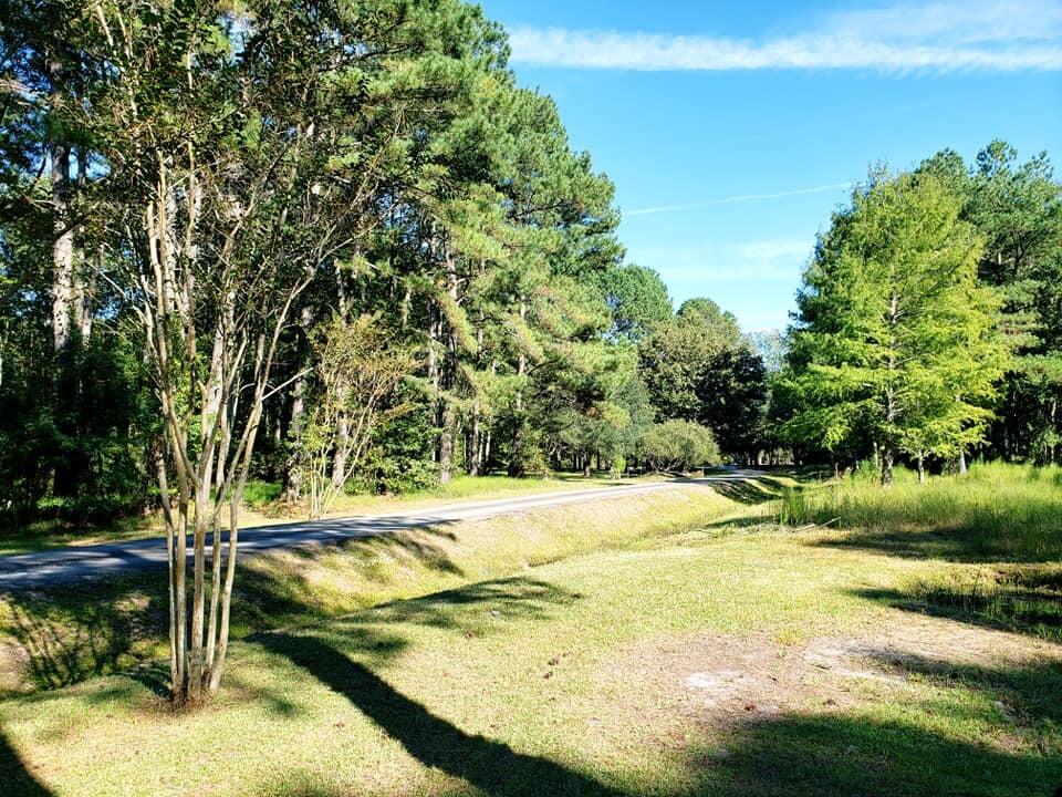 2704 Mt Carmel Road Walterboro, SC 29488 - Photo 6 of 53 243005327_10216488201592170_888427386402