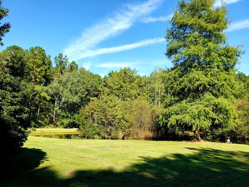 2704 Mt Carmel Road Walterboro, SC 29488 - Photo 7 of 53 242934707_10216488201112158_675910569001